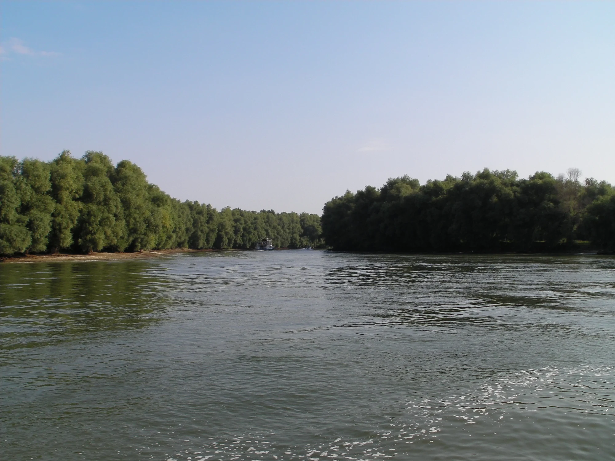 A wide waterway bordered by reeds in the Danube Delta
