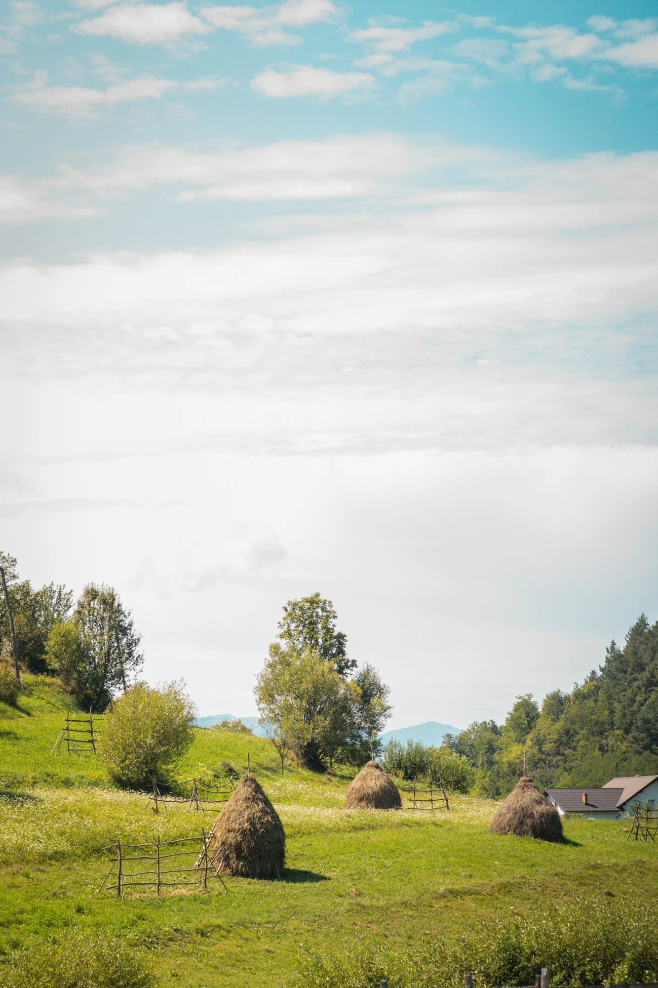 Haystacks and a traditional wooden building in rural Maramureș